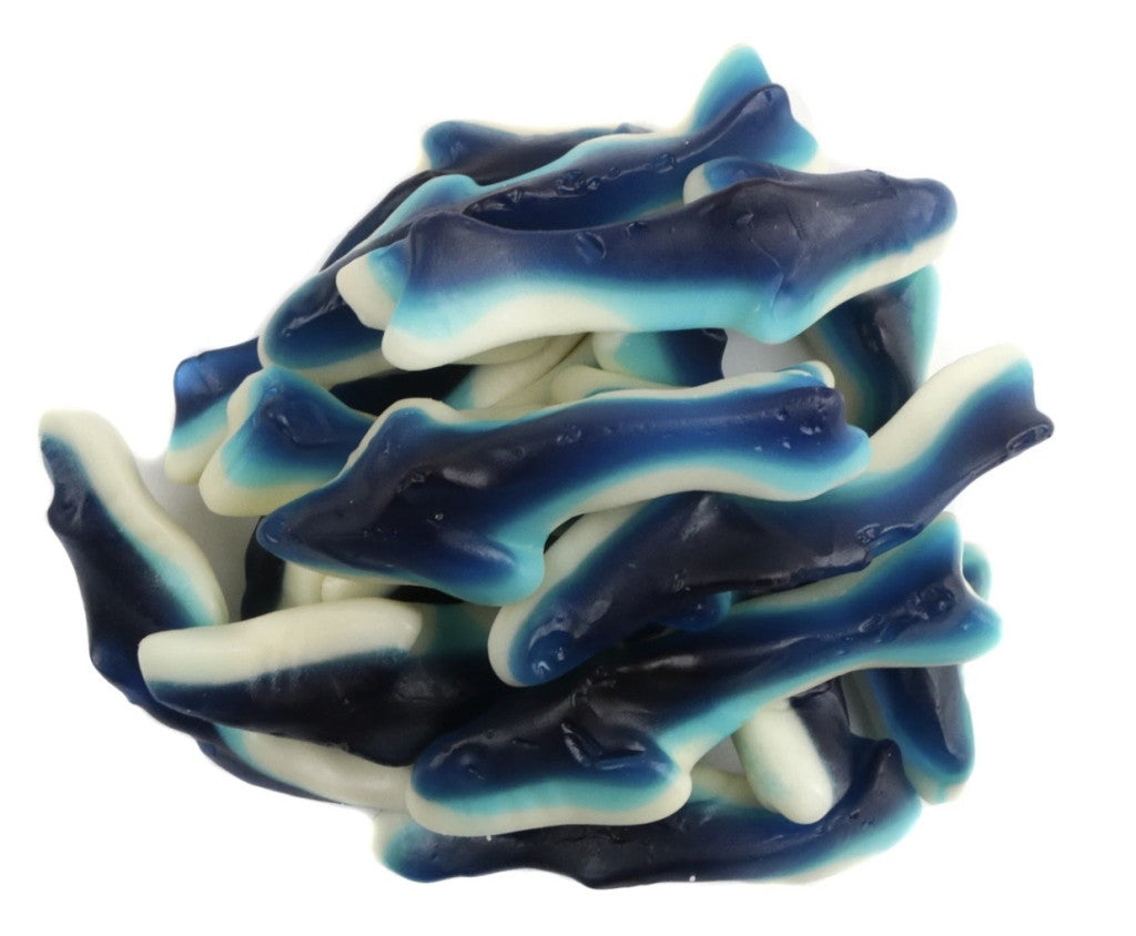 Blue & White Shark